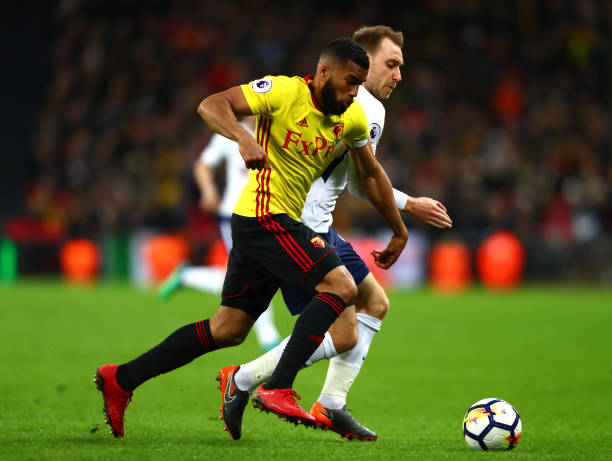 仁在培养青 仁在培养青